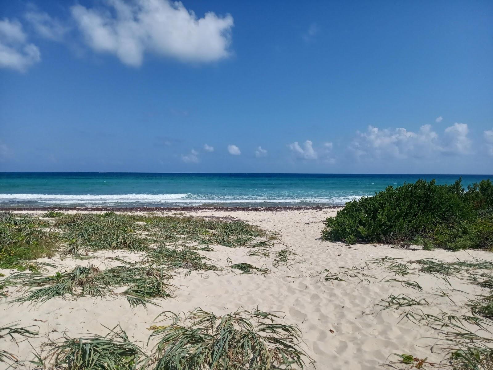 Sandee Playa Punta Brava