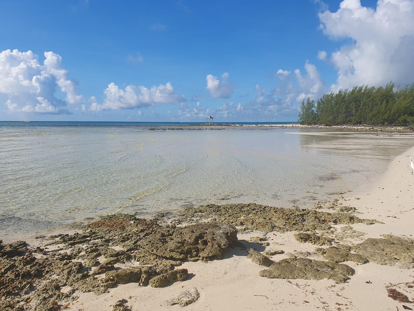 Sandee - Casuarina Point Beach