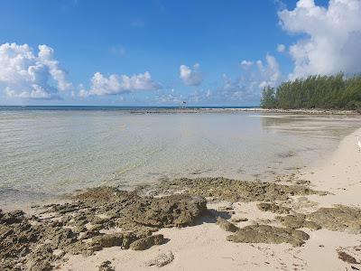 Sandee - Casuarina Point Beach