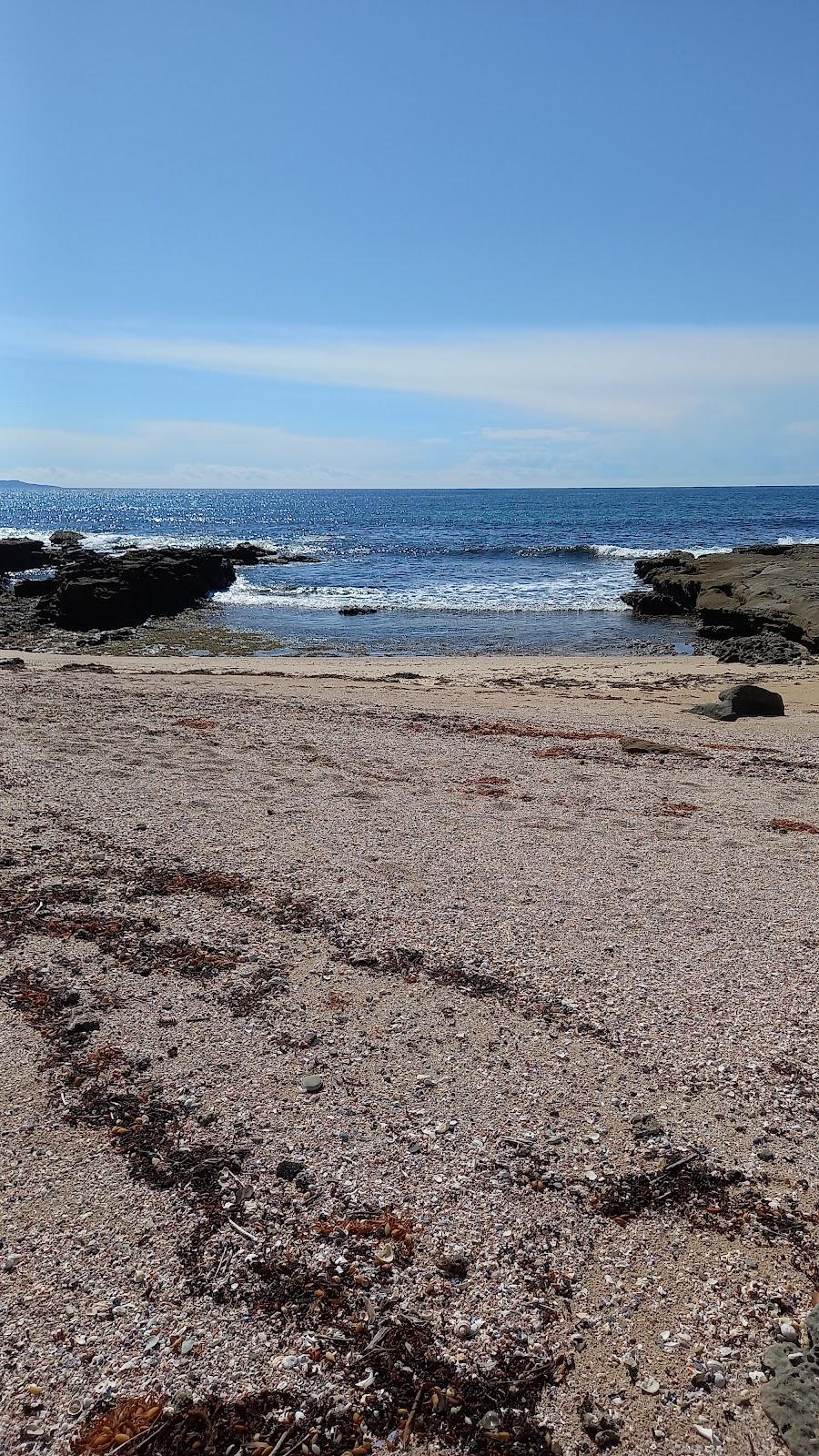 Sandee Tiny Shell Beach Photo