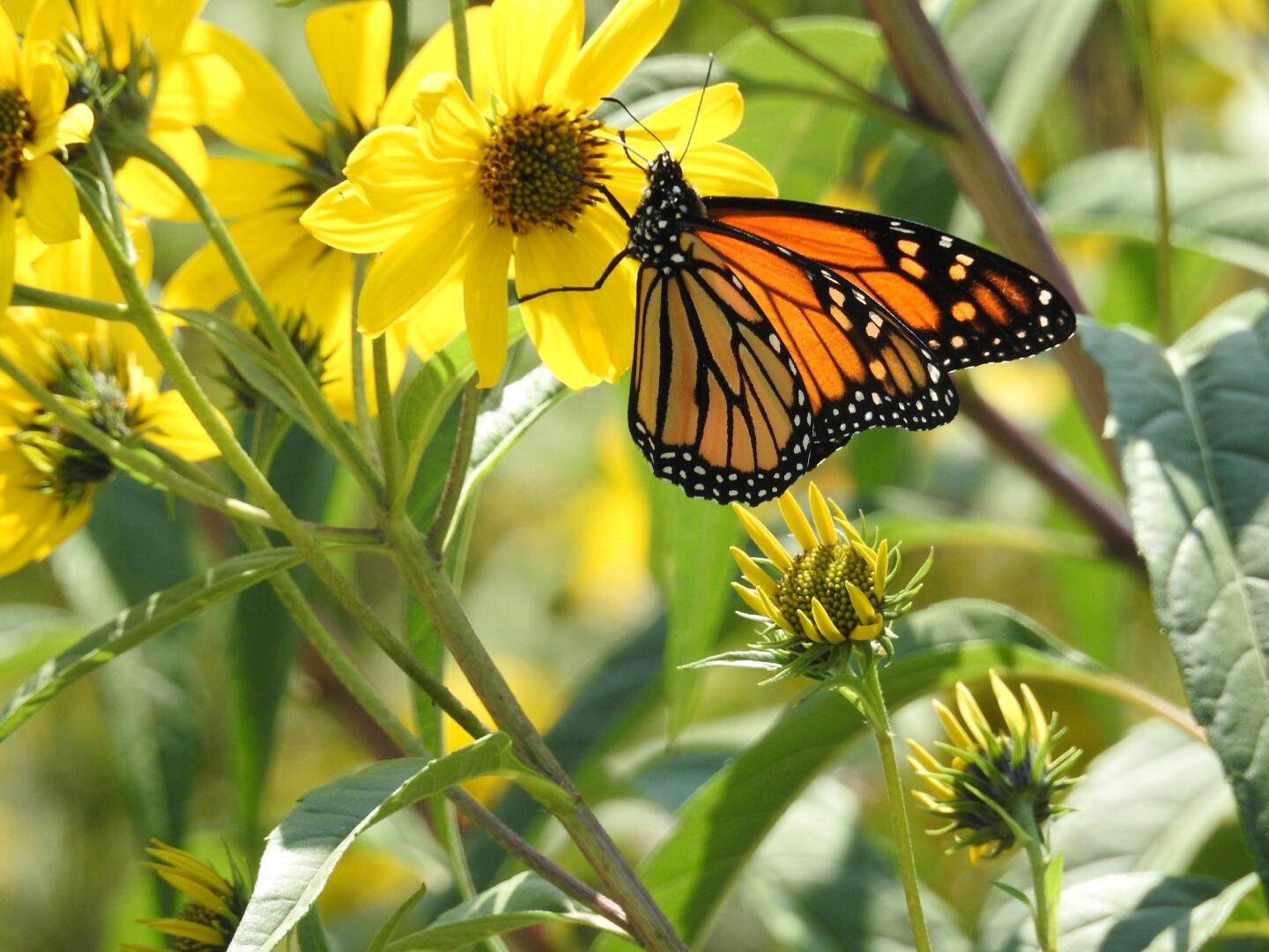 Sandee Kent Park Photo