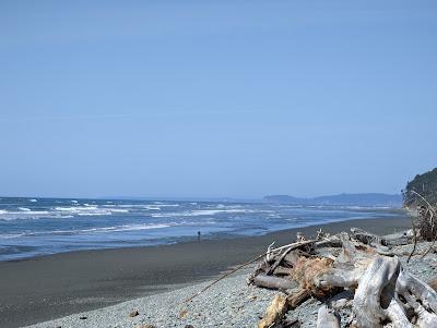 Sandee - Beach 2, Olympic National Park