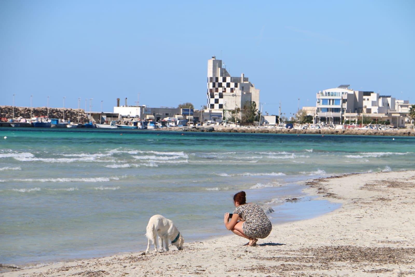 Sandee - Spaggie di Torre San Giovanni