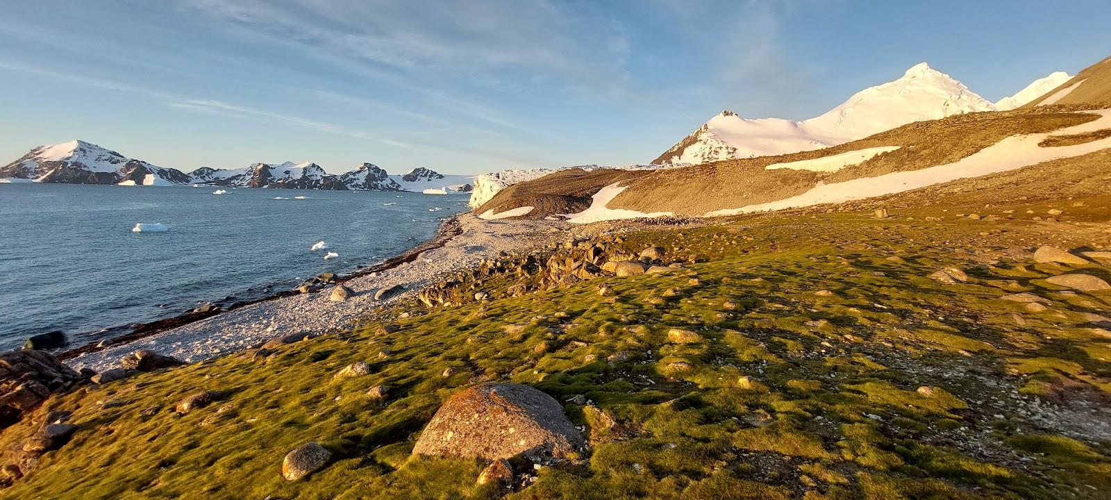 Sandee - Country / Livingston Island