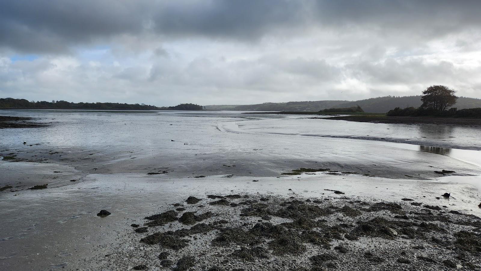 Sandee South And East Cork Bird Trail Photo