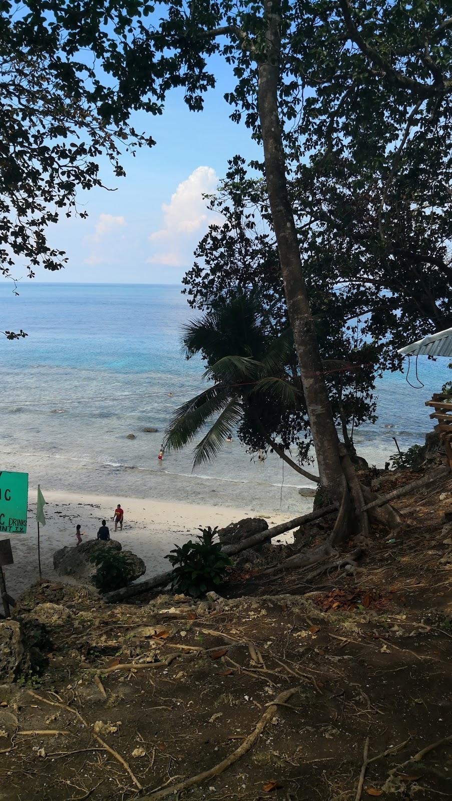 Sandee Avelino Beach Resort