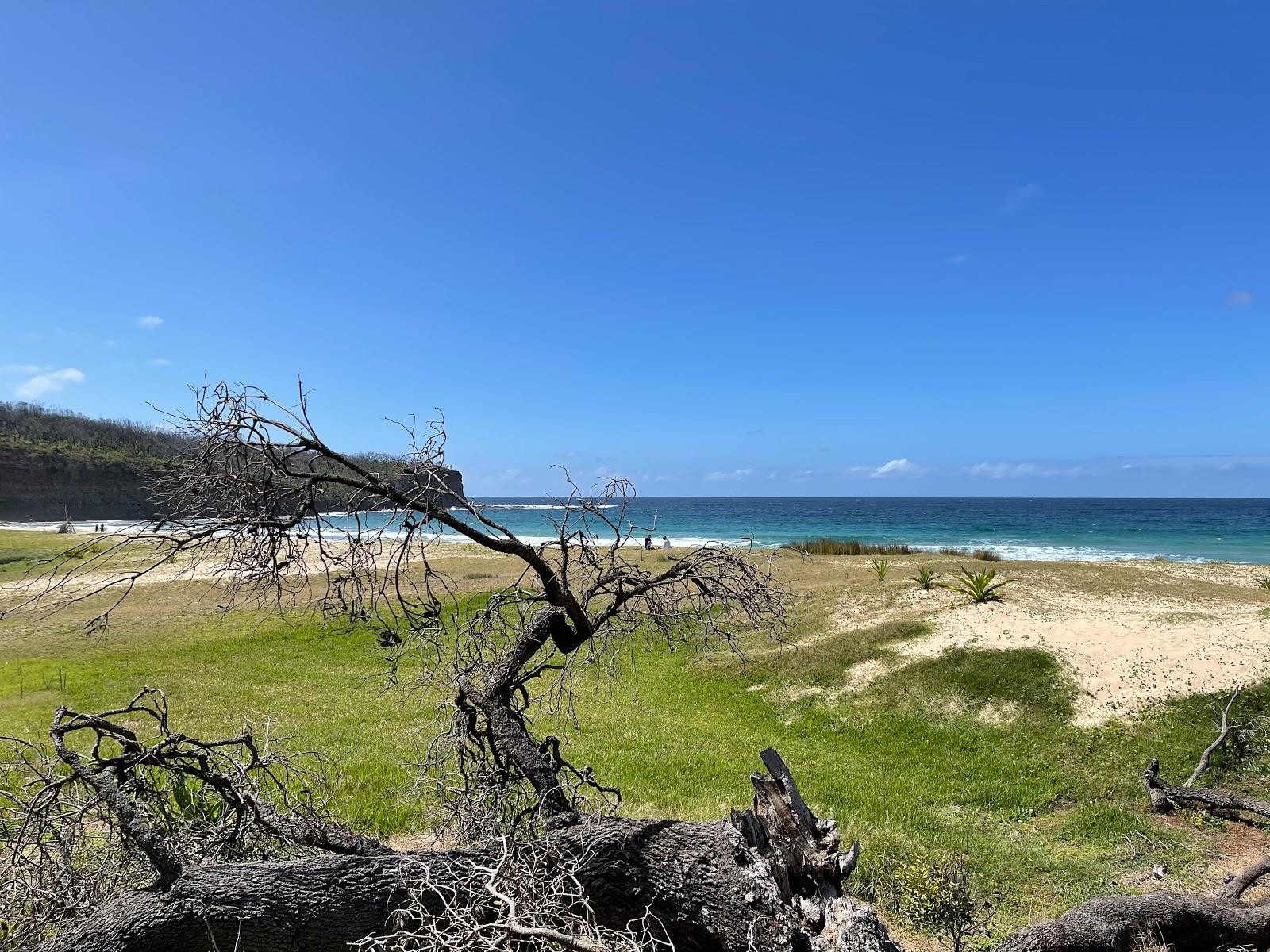 Sandee Pebbly Beach