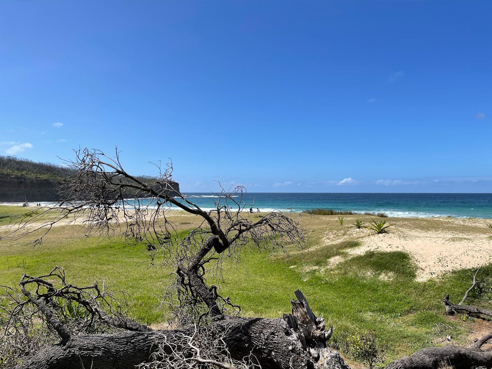 Sandee Pebbly Beach Photo