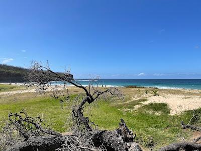 Sandee - Pebbly Beach