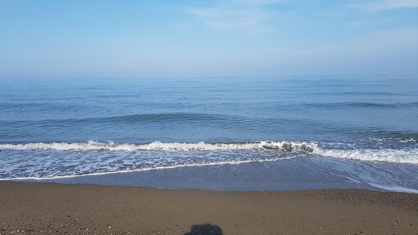 Sandee Spiaggia Libera Dune 2