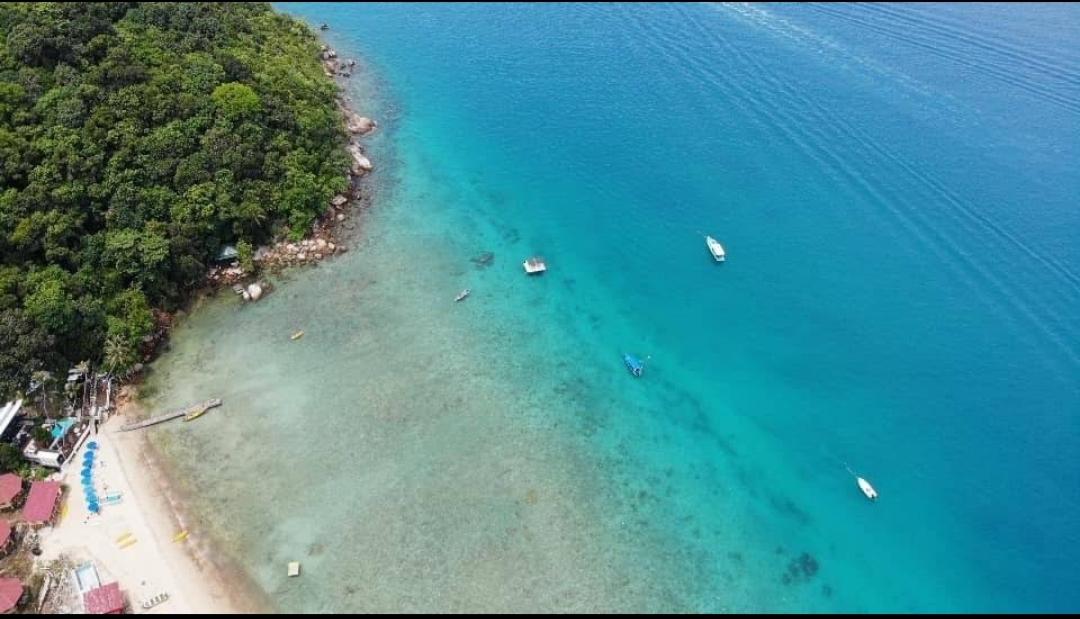Sandee Petani Beach