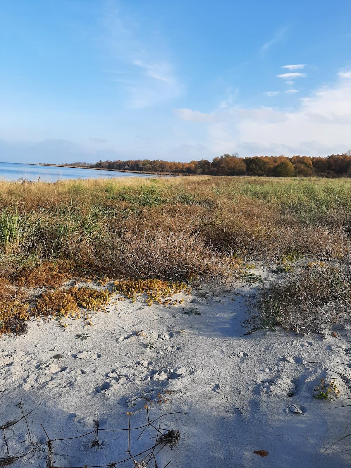 Sandee - Hundestrand Boltenhagen Tarnewitz