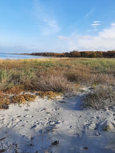 Sandee - Hundestrand Boltenhagen Tarnewitz