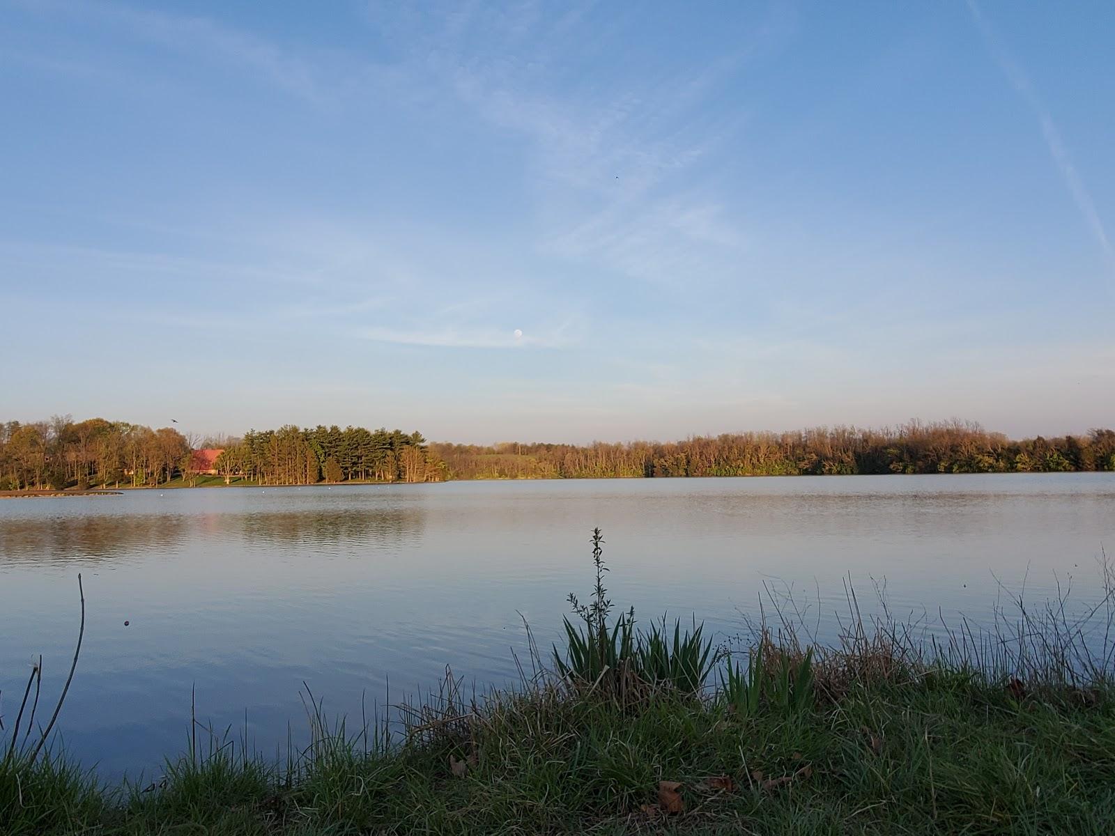 Sandee Lake Carnico