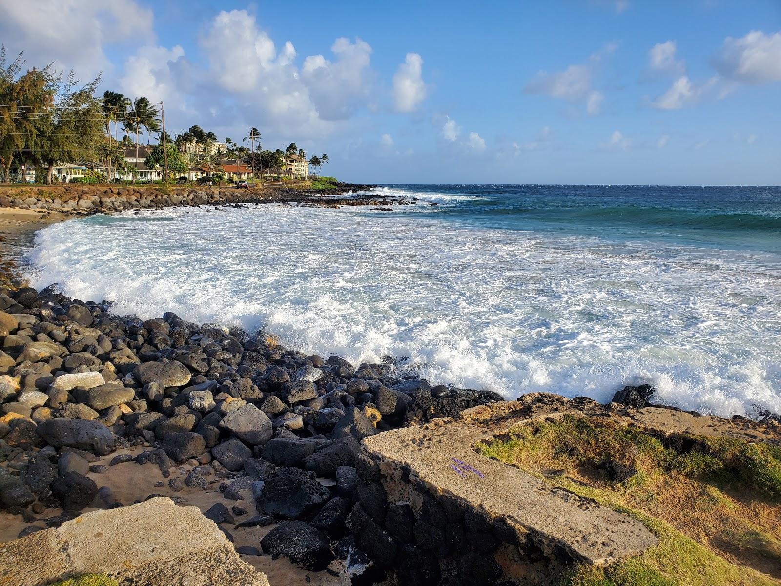 Sandee Brenneckes Beach Photo