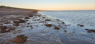 Sandee - Forty Mile Beach