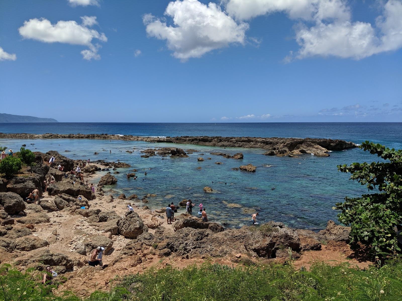 Sandee - Shark's Cove Beach