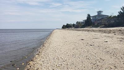 Sandee - Pickering Beach