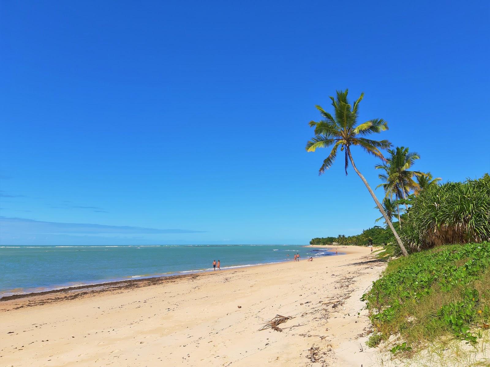 Sandee Praia De Aracaipe Photo