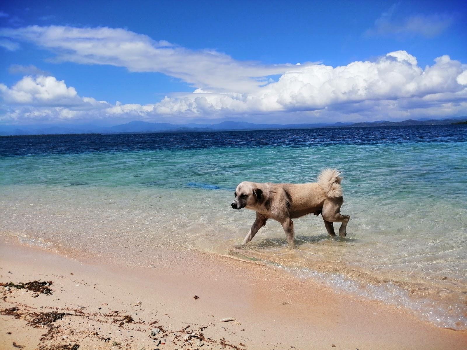 Sandee Purao Island Beach