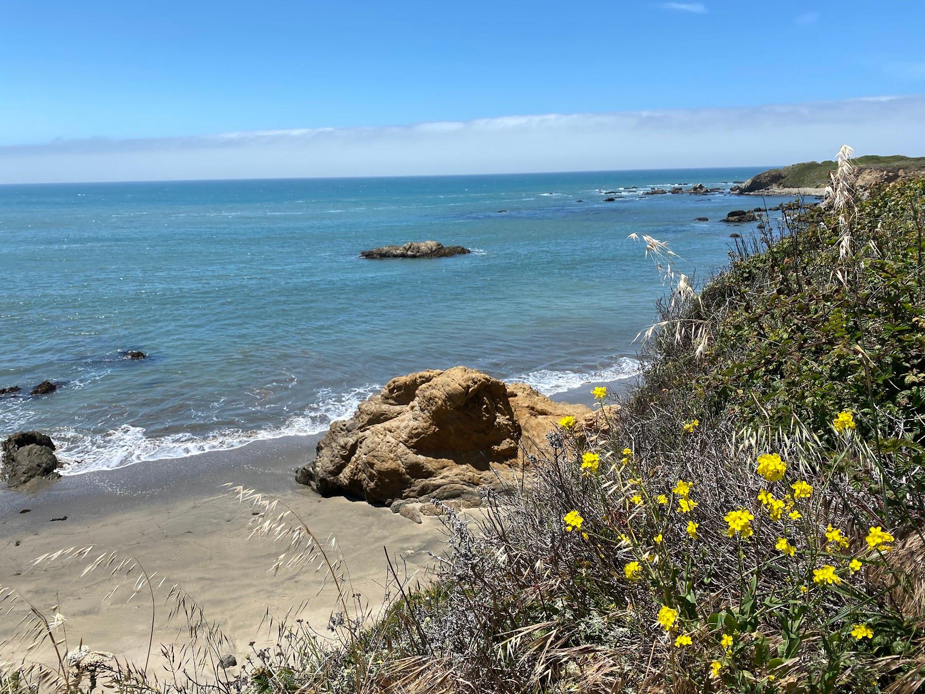 Sandee Whitehouse Creek Beach Access Photo