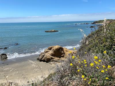 Sandee - Whitehouse Creek Beach Access