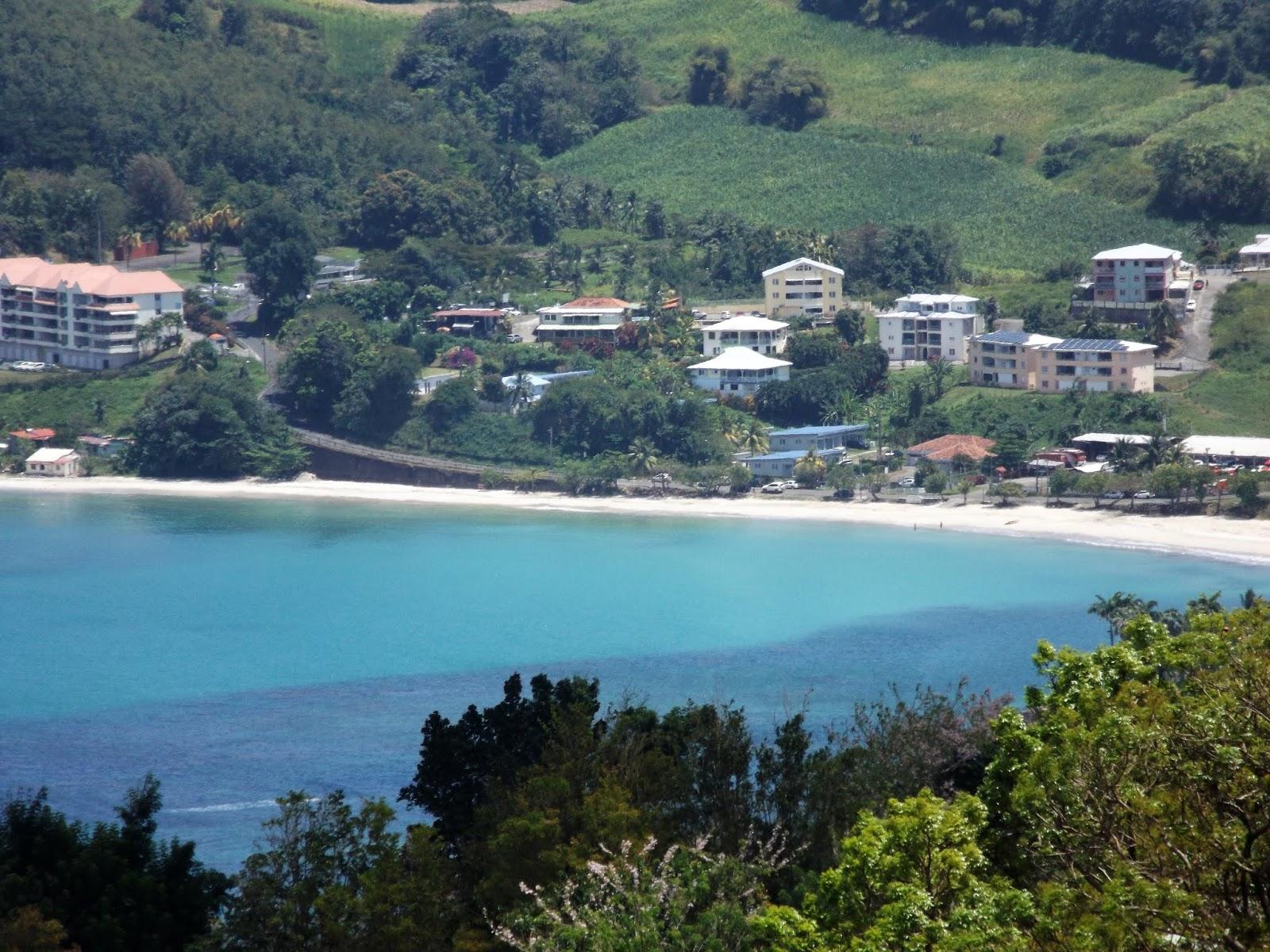 Sandee Plage Des Raisiniers