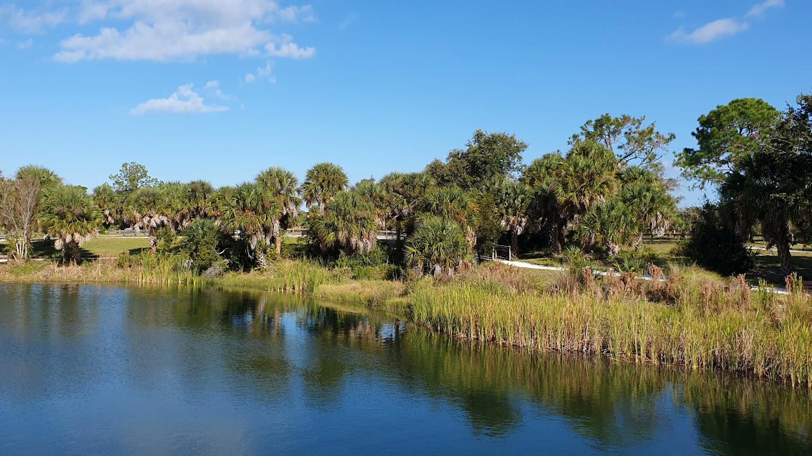 Sandee - Oscar Scherer State Park Beach