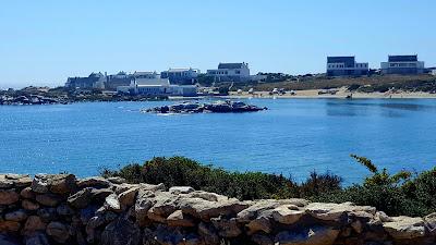 Sandee - Jacobs Bay Reef