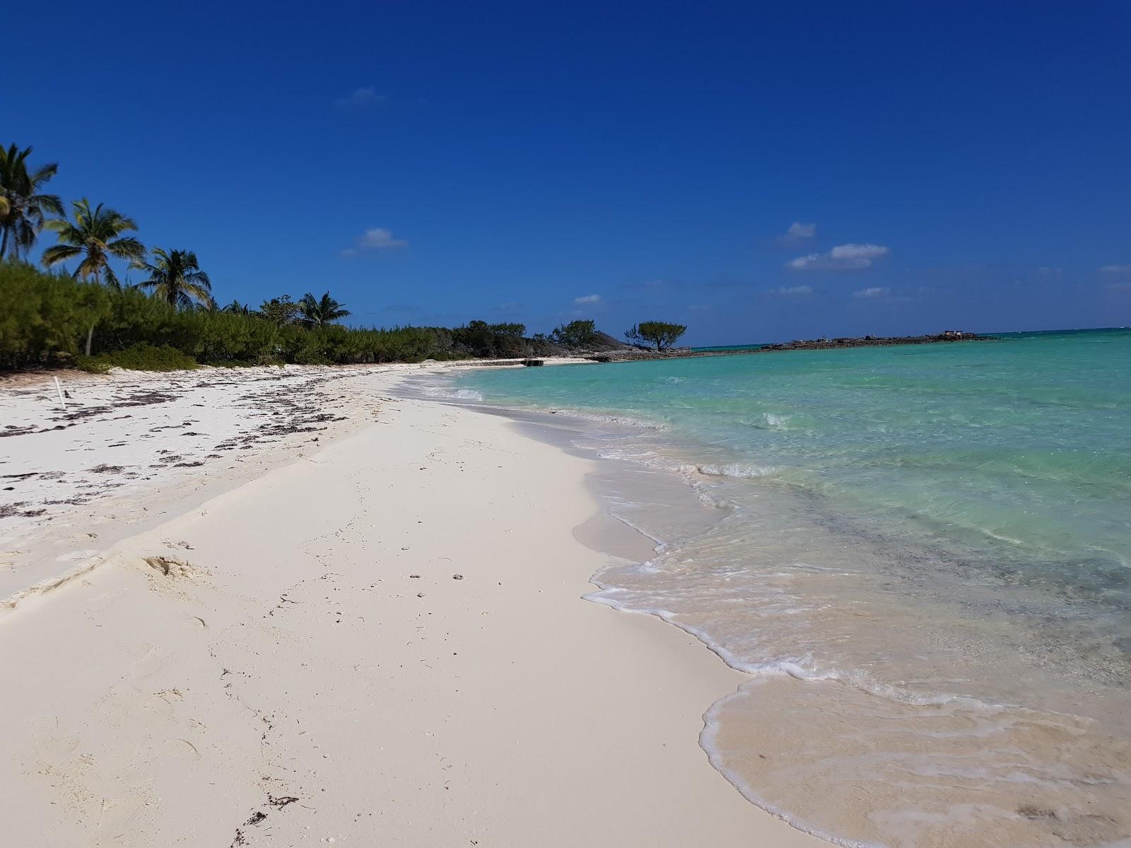 Sandee Mangrove Cay Beach
