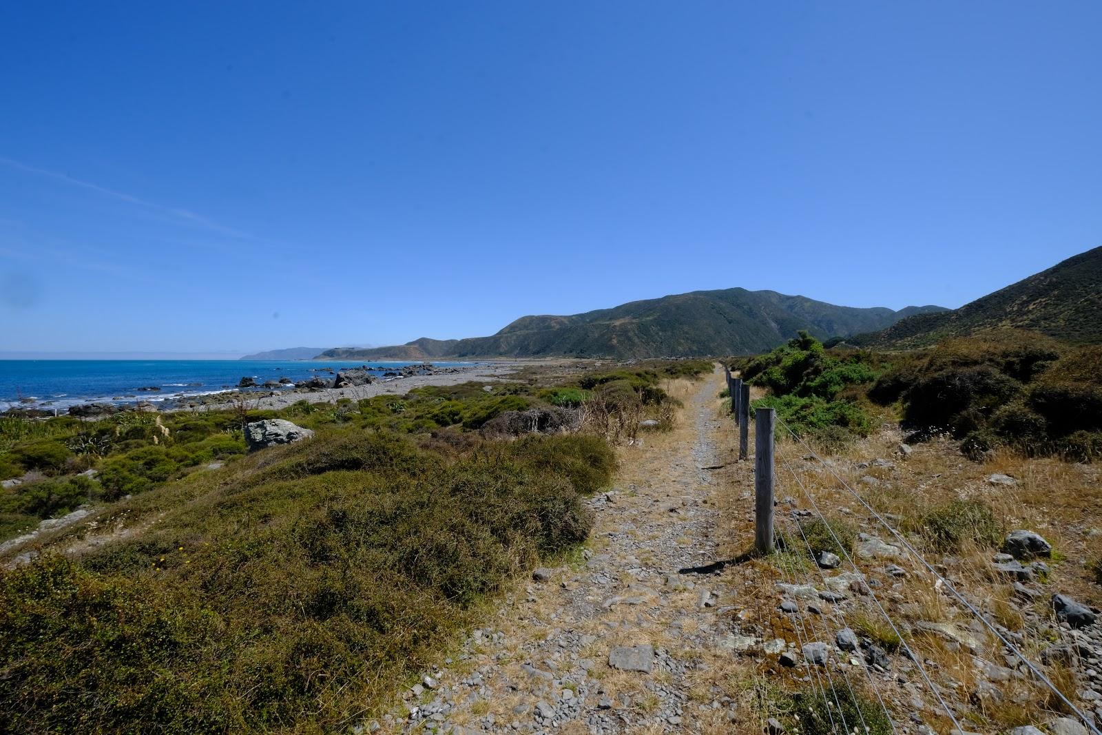 Sandee Turakirae Head Scientific Reserve