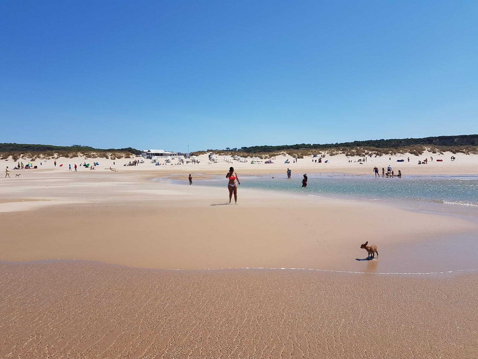 Sandee Praia Da Riviera