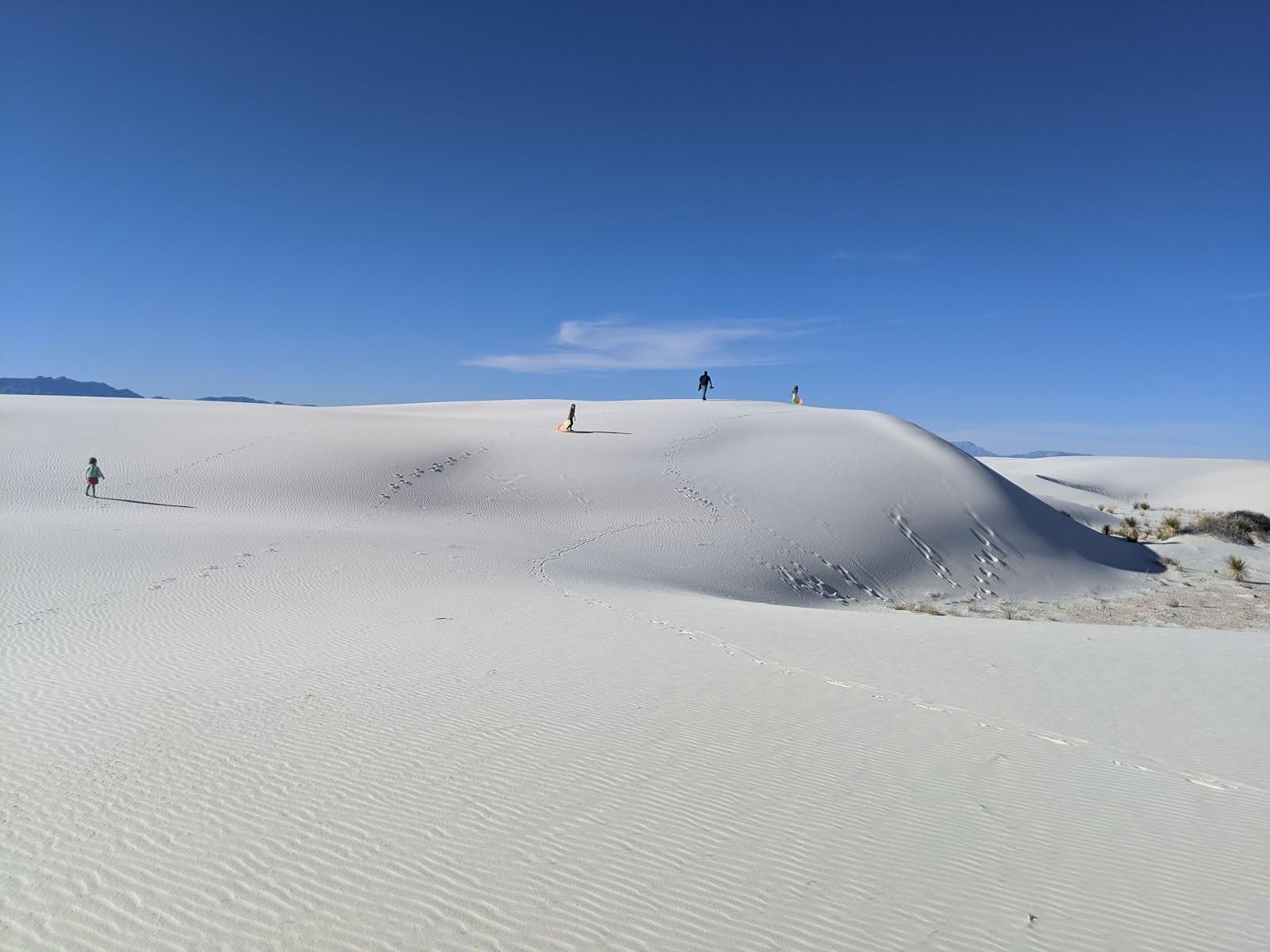 Sandee White Sands