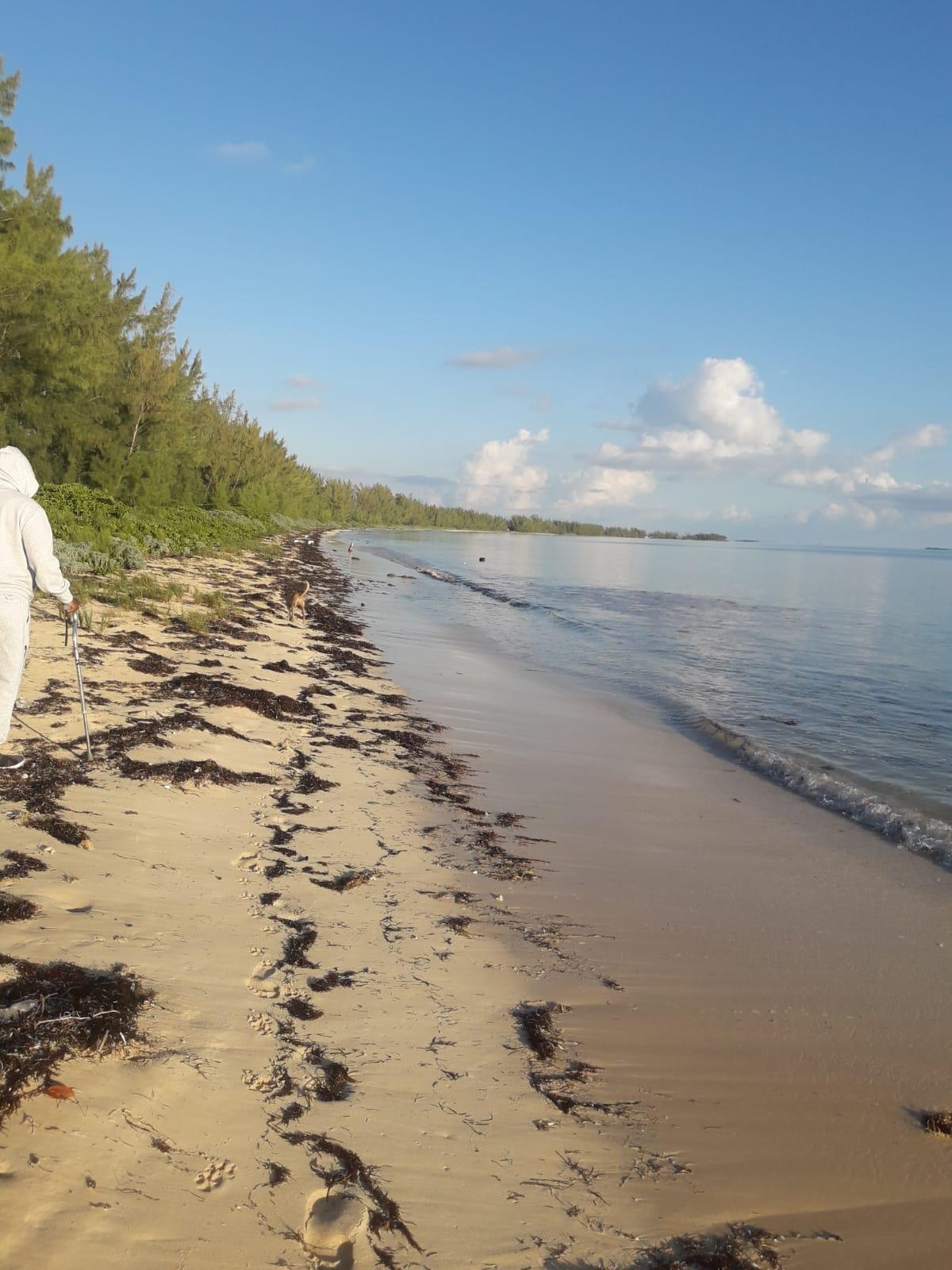 Sandee Stanyard Creek Beach Photo