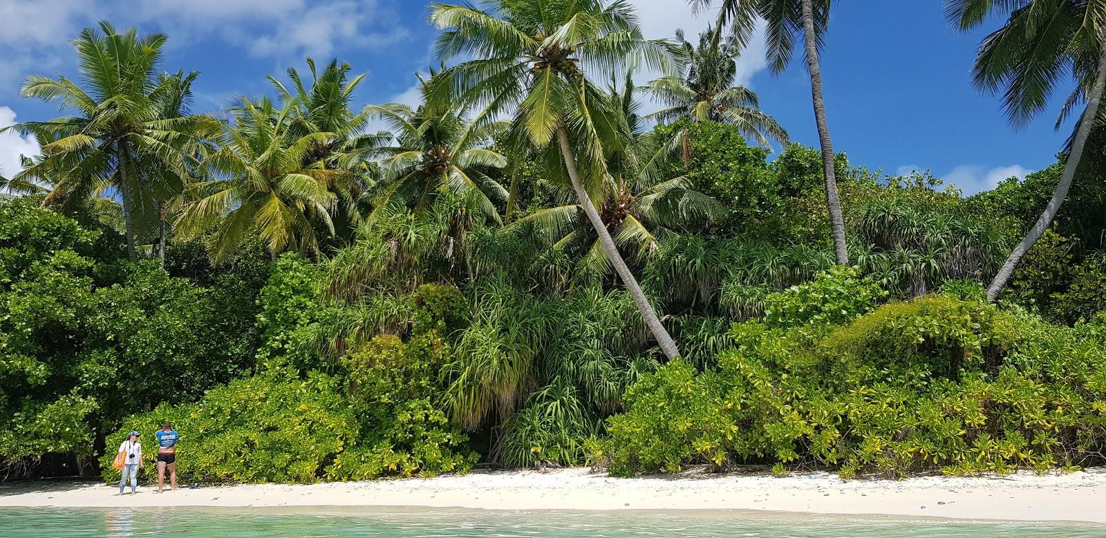 Sandee Haashim's Beach