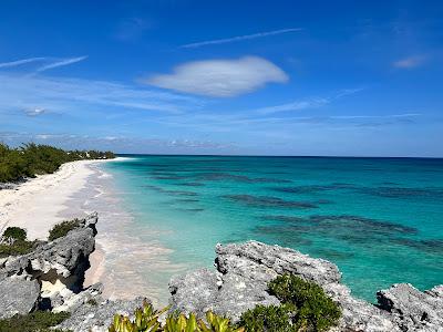 Sandee - Lighthouse Beach