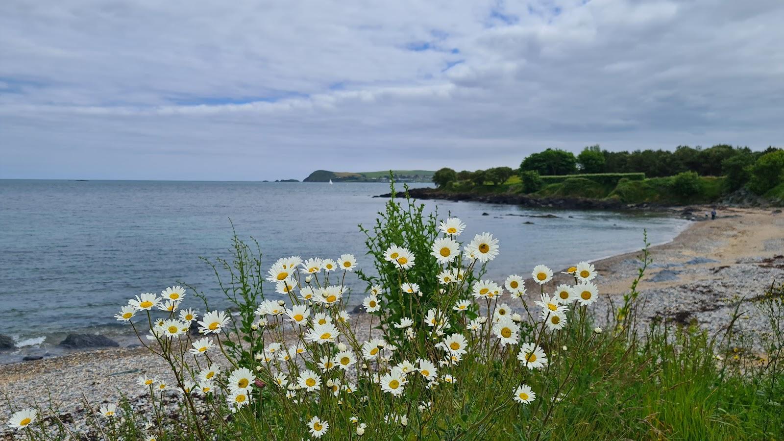 Sandee Ballinacourty Bay Beach Photo