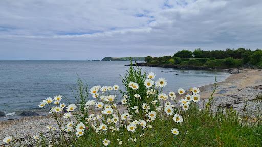 Sandee - Ballinacourty Bay Beach