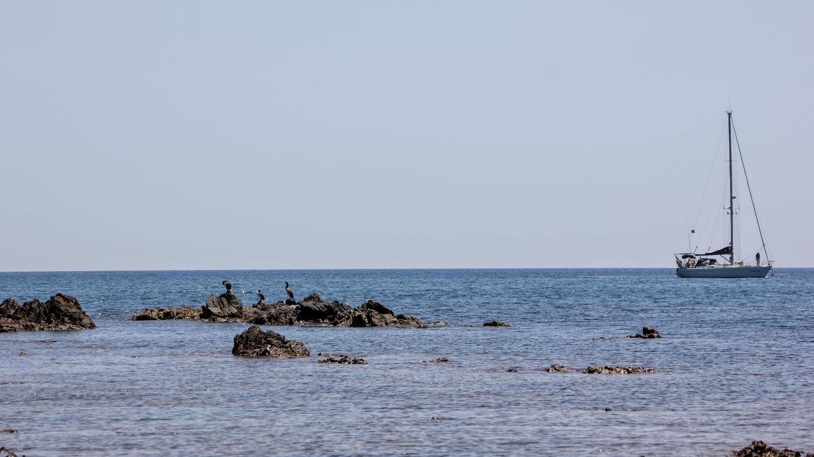 Sandee Spiaggia Per Cani Prumari Photo