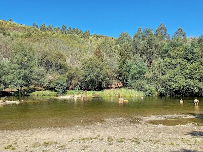 Sandee - Fluvial Do Alfusqueiro Beach