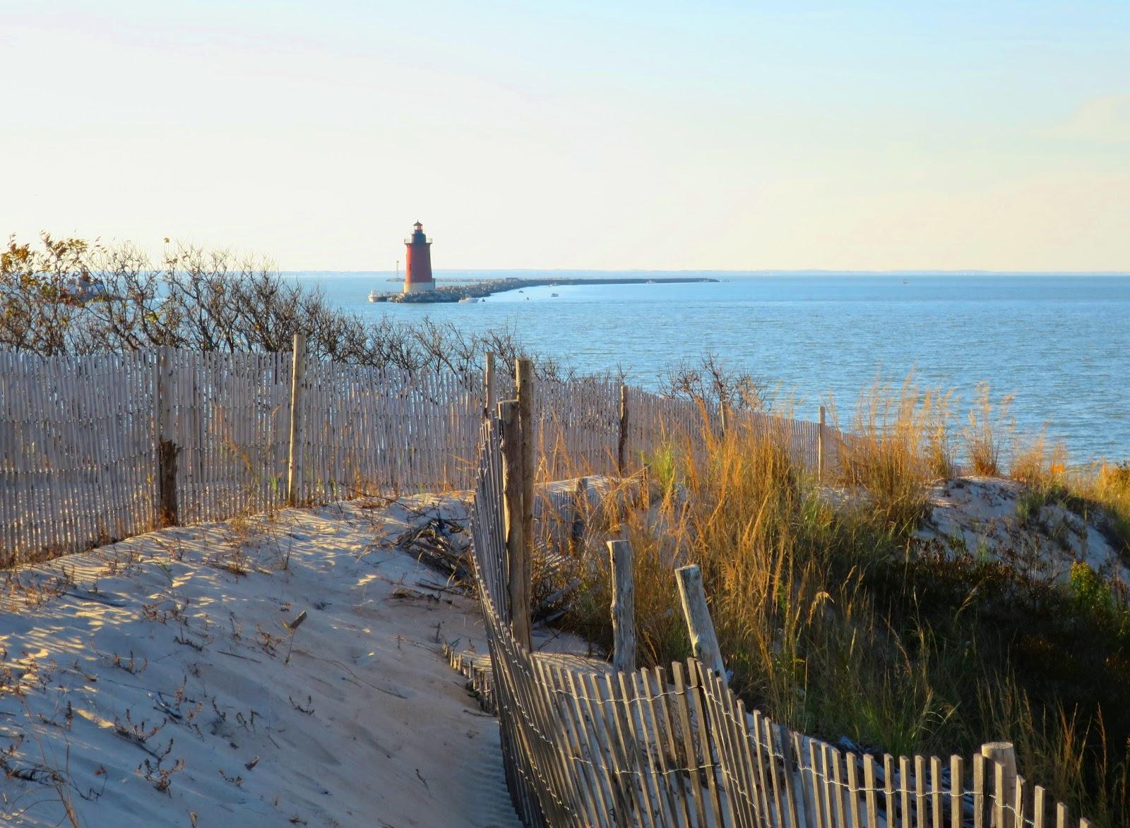 Sandee - Cape Henlopen State Park