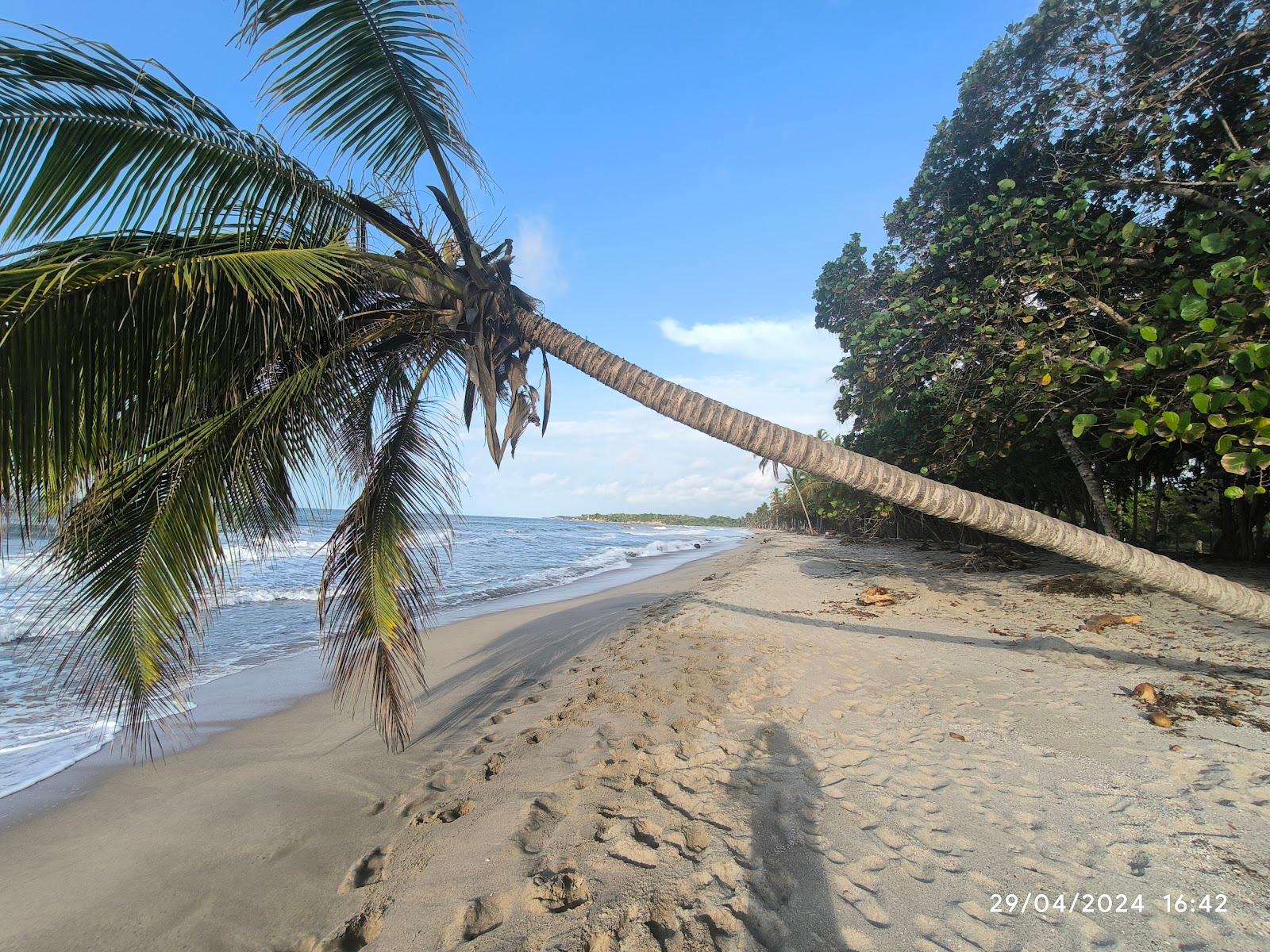 Sandee Playa Palomino Photo