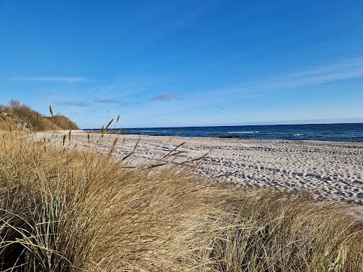 Sandee - Kurstrand Hohwacht