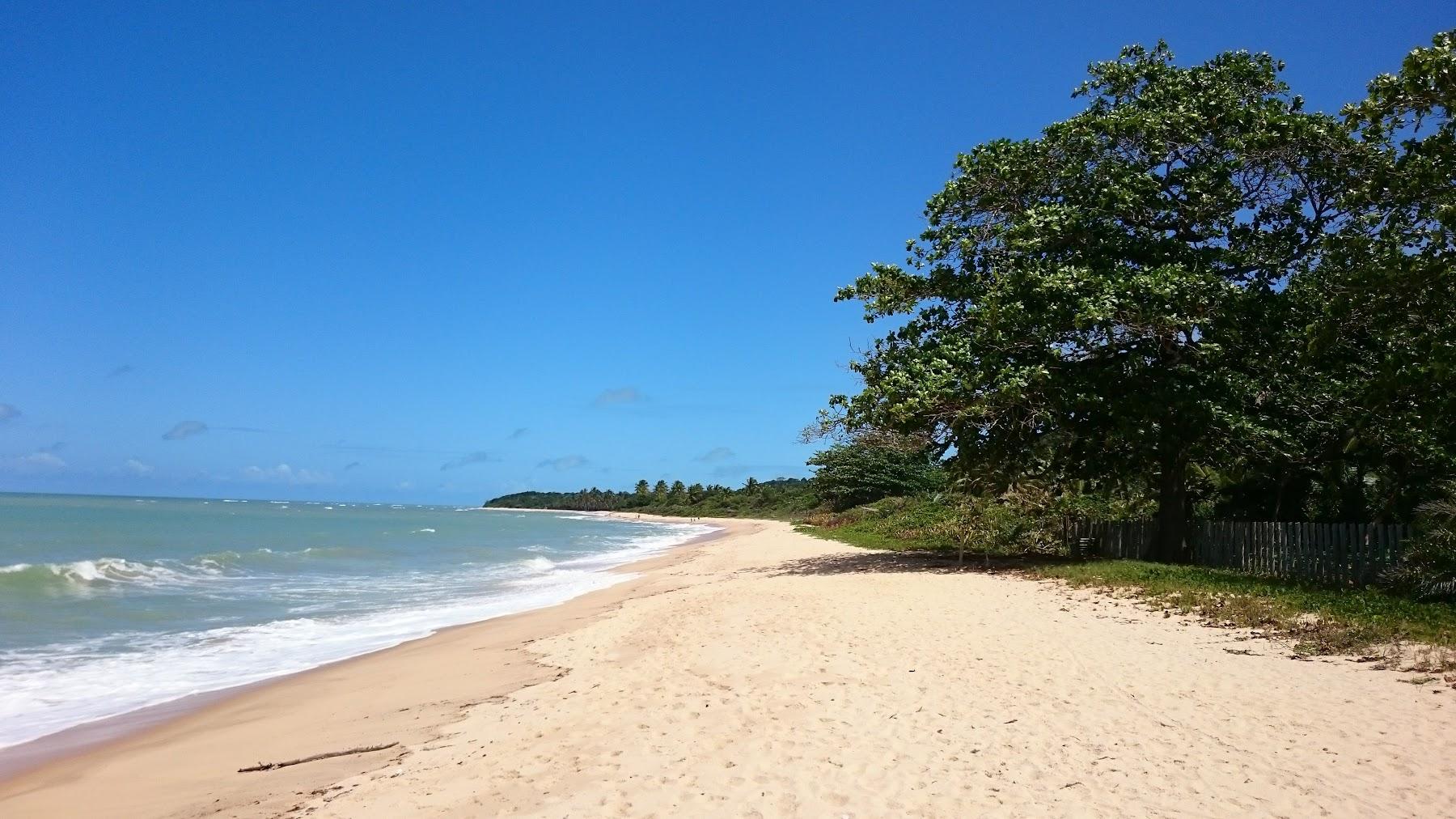 Sandee Praia De Itapororoca