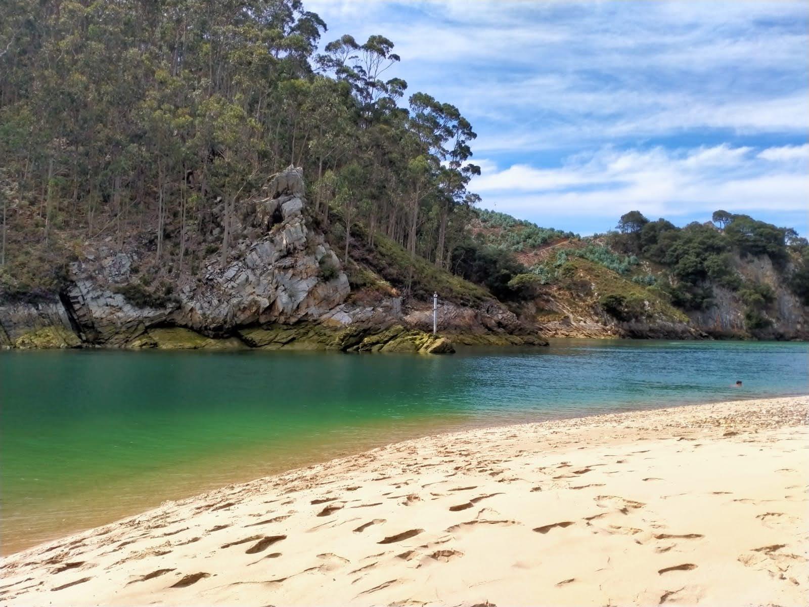 Sandee Pechon Playa Photo