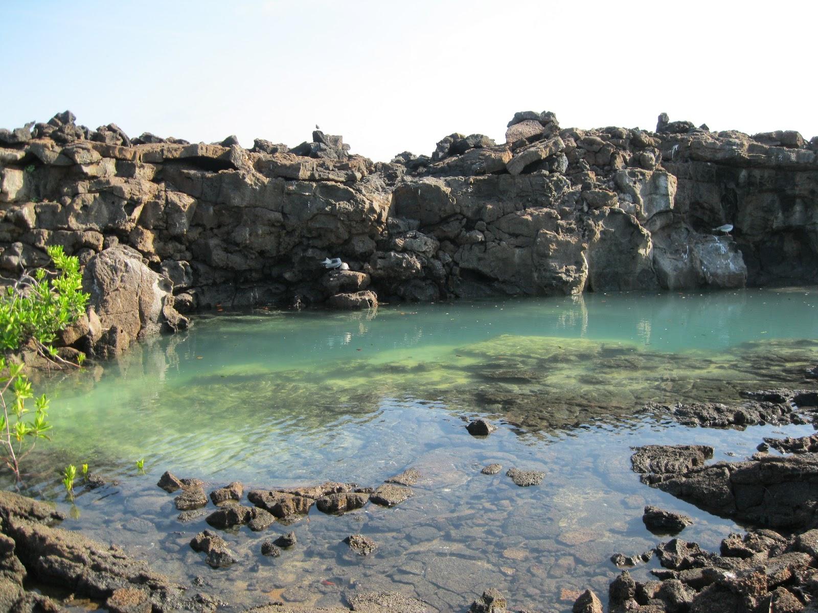 Sandee Genovesa Island