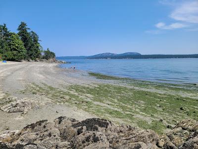 Sandee - Beddis Beach