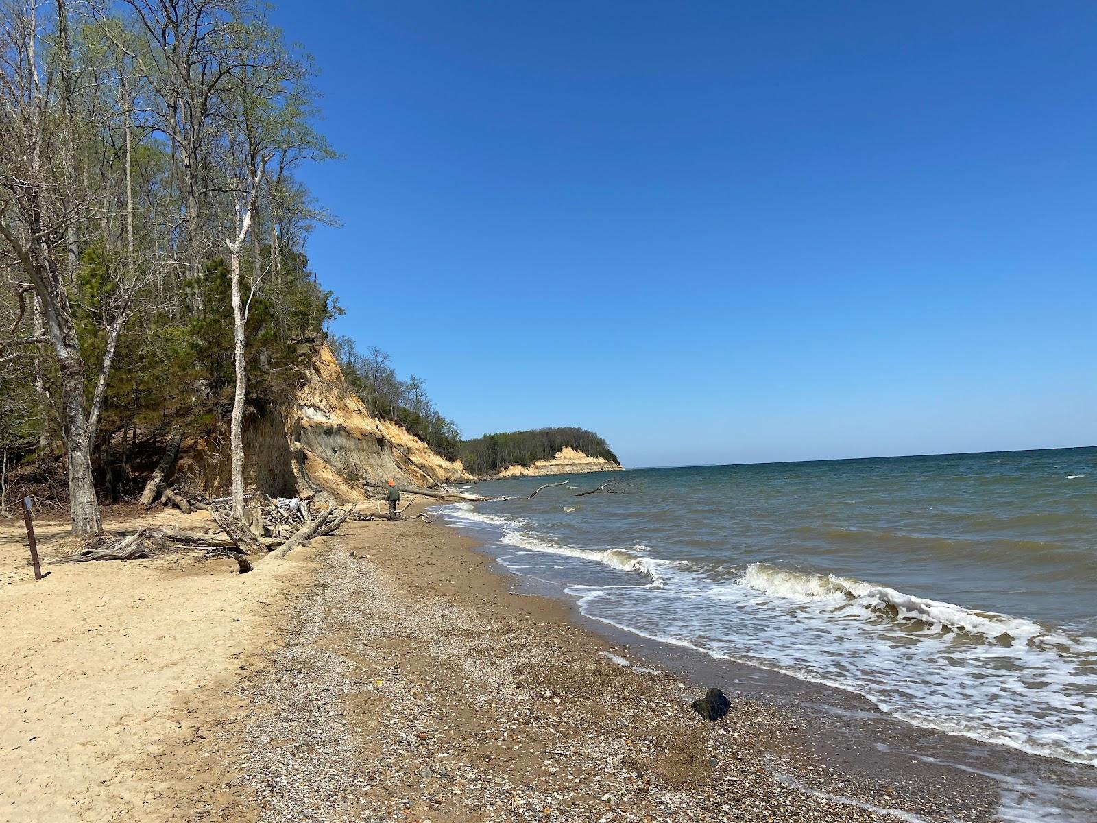 Sandee Driftwood Beach Photo