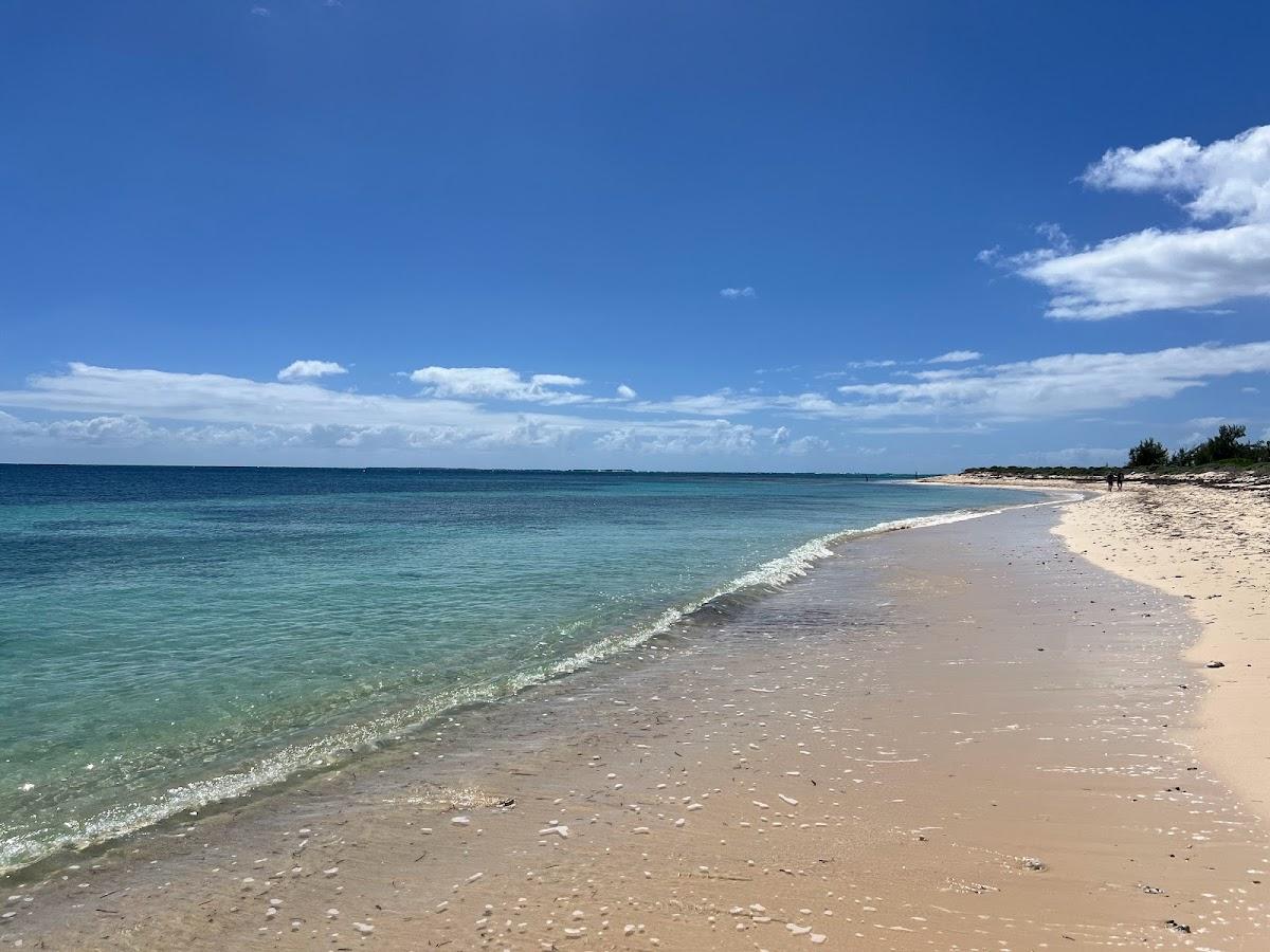 Sandee - White Sands Beach