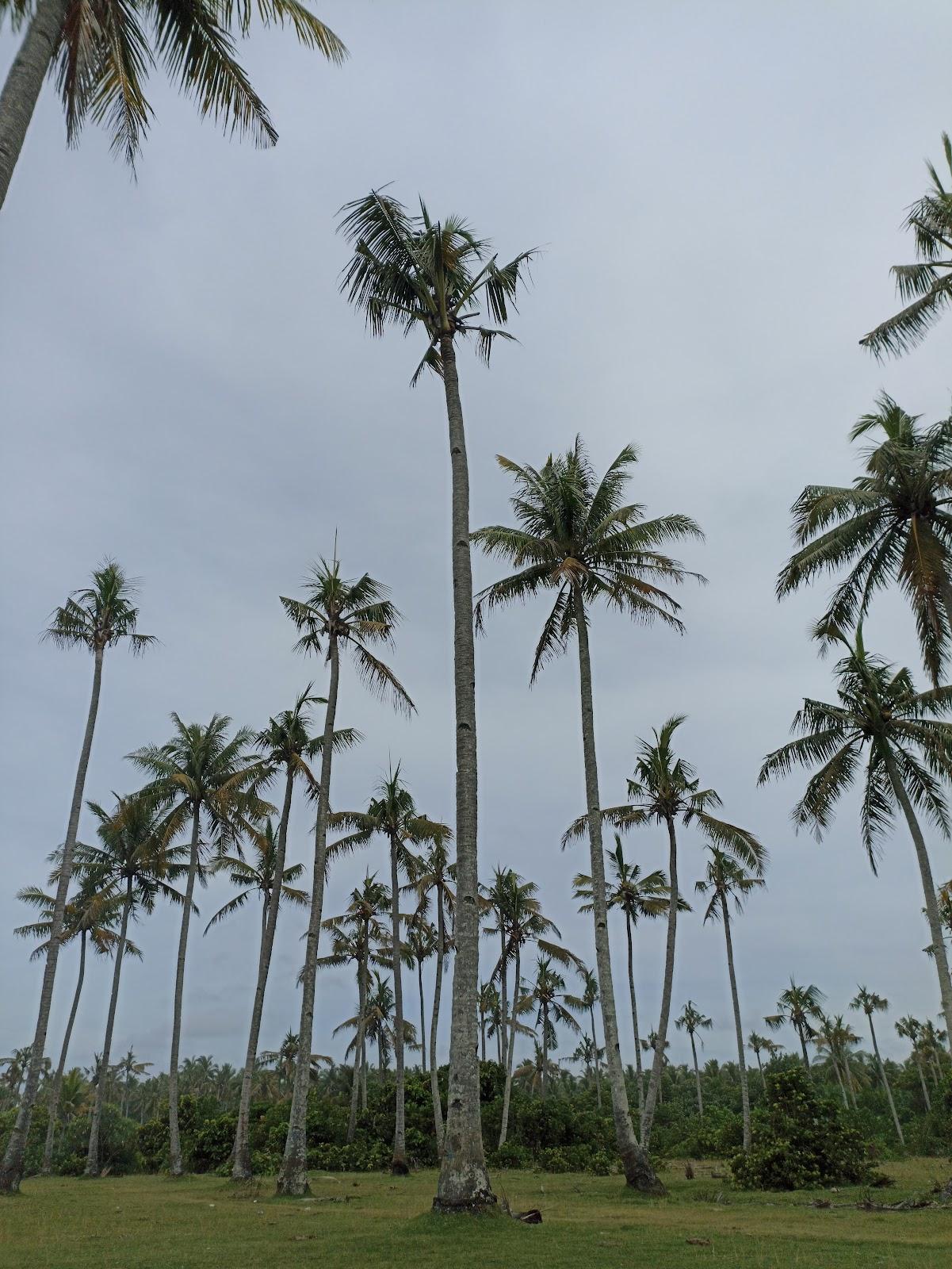 Sandee - Pantai Nangai